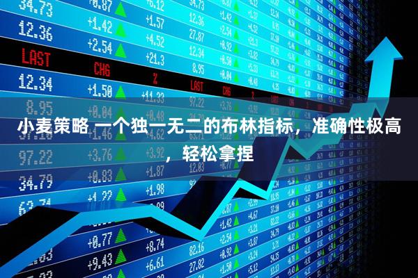 小麦策略 一个独一无二的布林指标，准确性极高，轻松拿捏