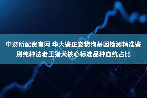 中财所配资官网 华大鉴正宠物狗基因检测精准鉴别纯种法老王猎犬核心标准品种血统占比