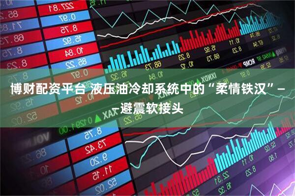 博财配资平台 液压油冷却系统中的“柔情铁汉”——避震软接头