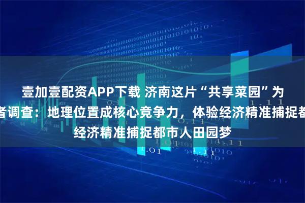 壹加壹配资APP下载 济南这片“共享菜园”为何火了？记者调查：地理位置成核心竞争力，体验经济精准捕捉都市人田园梦