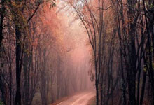 股票怎么用杠杆交易:十大股票配资网站-比亚迪8月新能源汽车销量37.36万辆 与上年同期基本持平